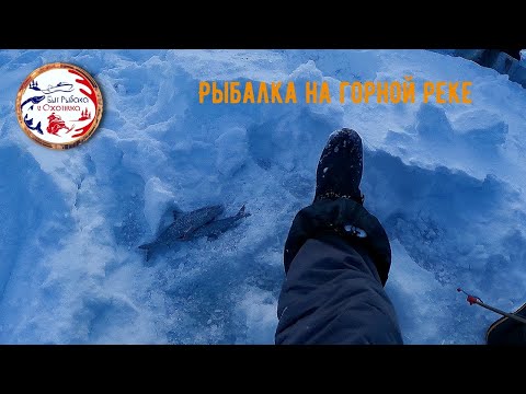 Видео: Рыбалка на реке Моркока. Якутия 2024. Исследуем новые места.