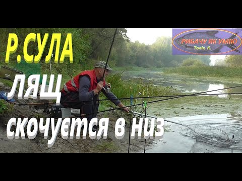 Видео: #СУЛА # Лящ тікає в низ #РибачуЯкУмію