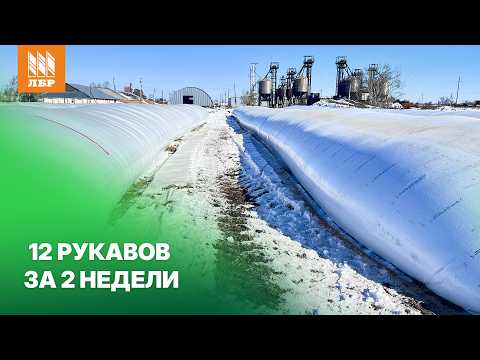 Видео: Упаковка зерна в рукава под снегом зерноупаковочной машиной