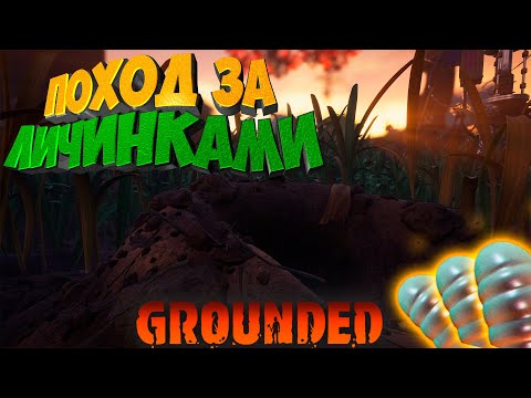 Видео: Grounded — Охота на муравьиное богатство #7