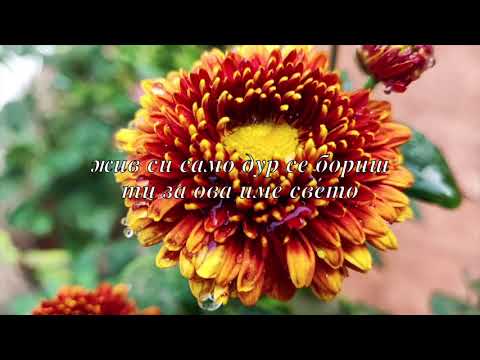 Видео: Сети се на Радуша - Андријана Јаневска