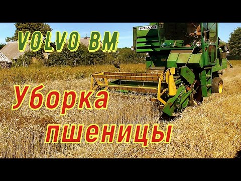 Видео: VOLVO BM Aktiv 800 Уборка пшеницы.