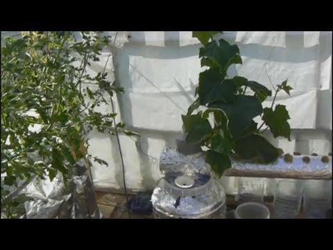 Видео: ПРИНЦИП РАБОТЫ УСТАНОВКИ для гидропоники.