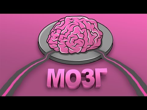 Видео: CS:GO - Мозг