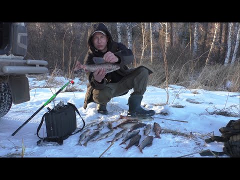 Видео: УТРЕННИЙ ЖОР!!! ХАРИУСЫ КОНИ ПОЙМАНЫ!!! КОНЕЦ НОЯБРЯ. СИБИРЬ, ХАКАСИЯ.