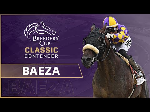 Видео: В центре внимания: Кубок заводчиков 2025 года: BAEZA