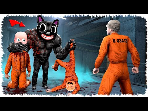 Видео: ЗҰЛЫМ КАЧОК МЫСЫҚ ТАН АЮДЫ ҚҰТҚАРДЫҚ