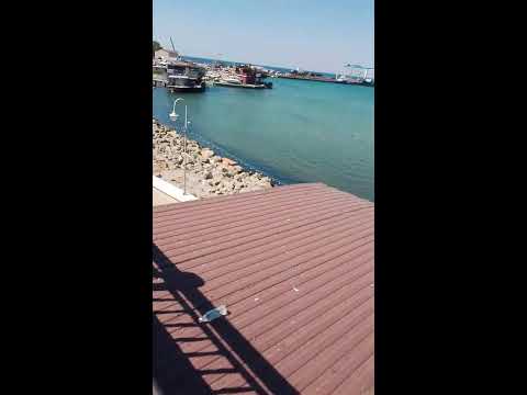 Видео: Маринка79 в прямом эфире!