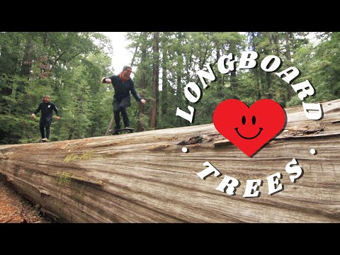 Видео: Лонгбординг с могучими секвойями