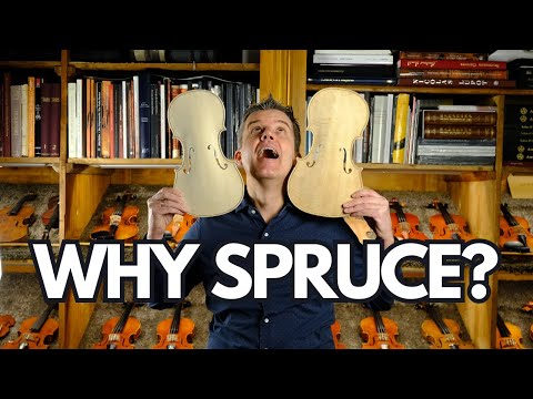 Видео: ПОЧЕМУ мы используем ЕЛЬ для ВЕРХНЕЙ ЧАСТИ