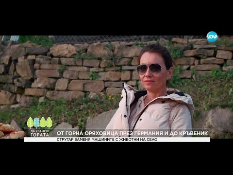 Видео: Да хванеш гората (01.12.2024)