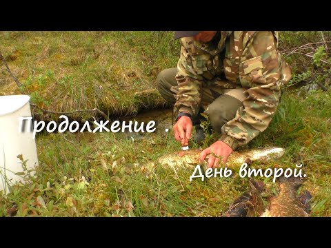 Видео: ВТОРОЙ ДЕНЬ НА ОЗЕРЕ. ЛОВЛЮ ЩУКУ. ПОПАЛ ПОД ЛИВЕНЬ.