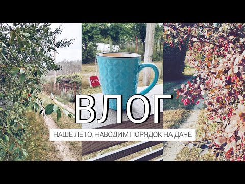 Видео: ВЛОГ: ЛЕТО ☀️I ЧТО ДЕЛАЕМ НА ДАЧЕ? 🏡 I НАШИ ПИТОМЦЫ 🐕🐈