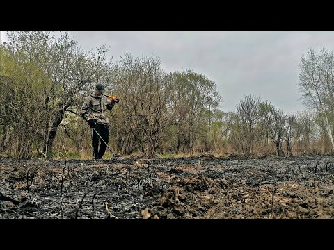 Видео: Пасхальный коп#Minelab X-terra Pro#ПРИМОРСКИЙ КРАЙ#