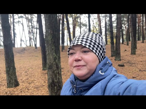 Видео: Появляются просто неоткуда,сами посмотрите,Грибы 🍄‍🟫 просятся к ней в корзину! Наш Мурчик пропал😢!
