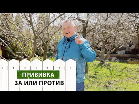 Видео: ПРИВИВКА плодовых деревьев. Зачем? Когда? Что нужно? (Полный гайд)