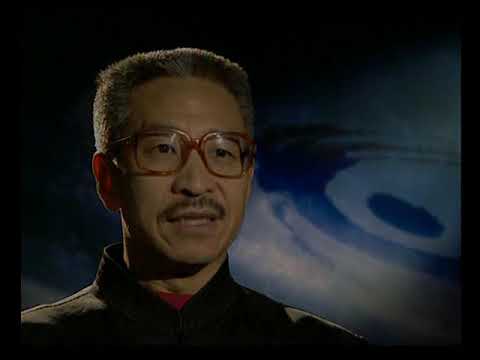 Видео: Китайские боевые искусства Серия 9: Удан-кунфу