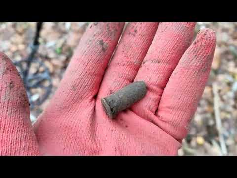 Видео: Поиск монет в деревне с FrogMan T90. Находки на китайский металлоискатель