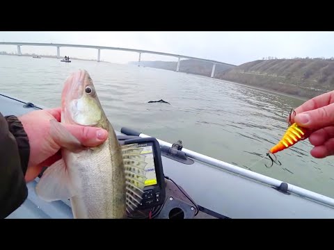 Видео: ПОПАЛ НА ЖОР СУДАКА И ЩУКИ ловля в отвес с лодки на ВИБЫ рыбалка 2025