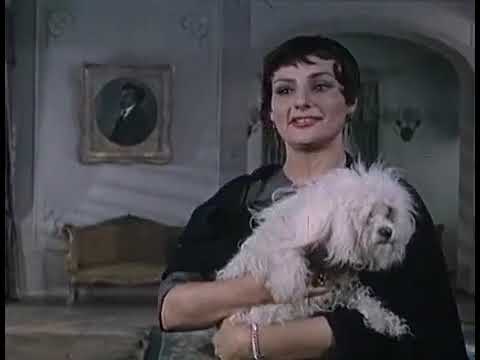 Видео: Вольный ветер 1961