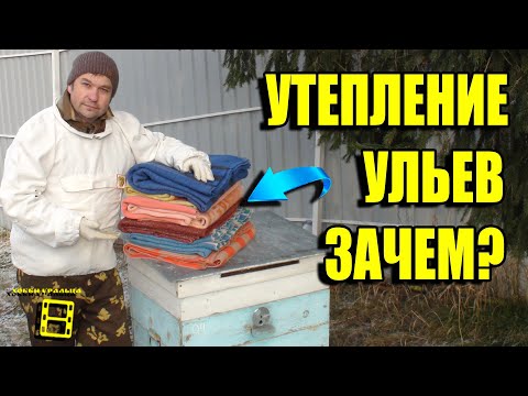 Видео: СЕКРЕТ УТЕПЛЕНИЯ УЛЬЕВ. ПОСЛЕДНИЕ ОСЕННИЕ РАБОТЫ НА ПАСЕКЕ. ЛЮБИТЕЛЬСКОЕ ПЧЕЛОВОДСТВО