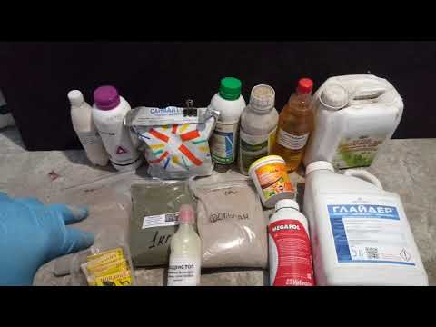 Видео: Схема обработки винограда на 2020