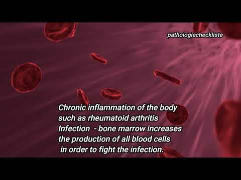 Видео: Тромбоцитите - (Thrombocytes learning video)
