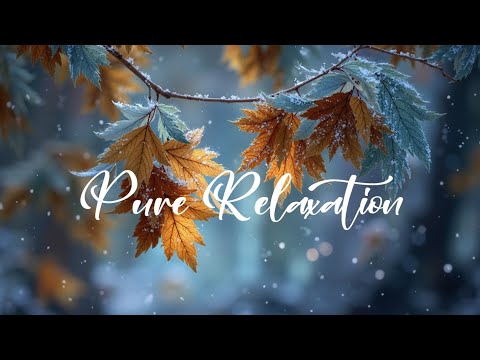 Видео: Расслабляющая гитарная музыка для учебы и сосредоточения