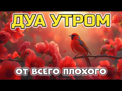 Видео: ДУА ДЛЯ ЗАЩИТЫ ОТ ПЛОХОГО! 🤲✨
