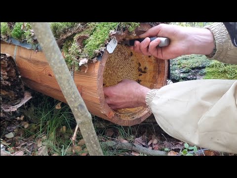 Видео: ПОДРОБНО ОБ УНИКАЛЬНОЙ УМНОЙ КОЛОДЕ.