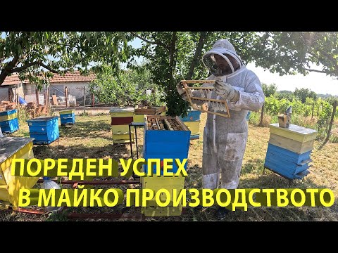 Видео: Пореден успех в майко производството