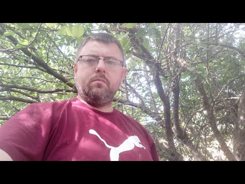 Видео: Як роблю корм для наших свинок.