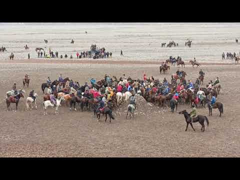Видео: Маъракаи бузкаши дар нохияи Точикобод чамоати Нушор дехаи Сари Пул. 8.03.2025.