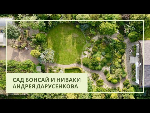 Видео: Сад бонсай и ниваки Андрея Дарусенкова