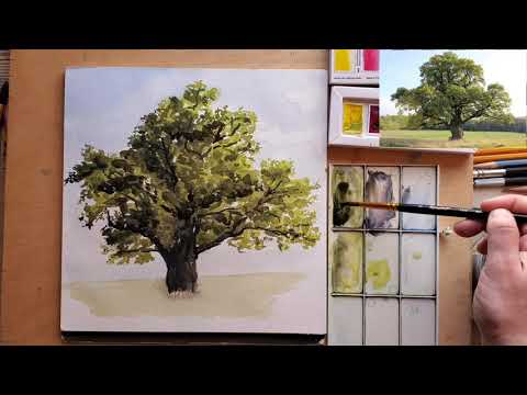 Видео: Как нарисовать дерево. Дерево акварелью. #научитьсярисовать #учимсярисовать #дуб #акварель