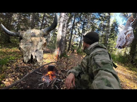 Видео: ДОБЫЛ РЯБЧИКОВ | НАТКНУЛСЯ НА ПРИВАДУ НА МЕДВЕДЯ | ХОДОВАЯ ОХОТА С "ДЕДУШКОЙ" - ИЖ-12