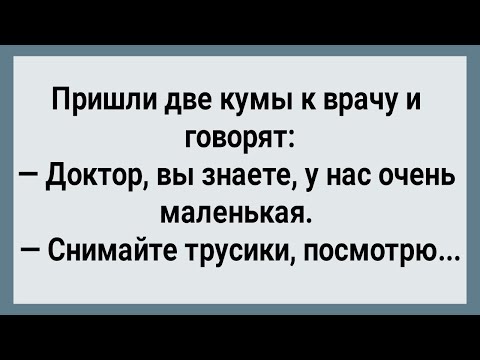 Видео: Как Две Гулящие Кумы к Врачу Сходили! Сборник Свежих анекдотов! Юмор!