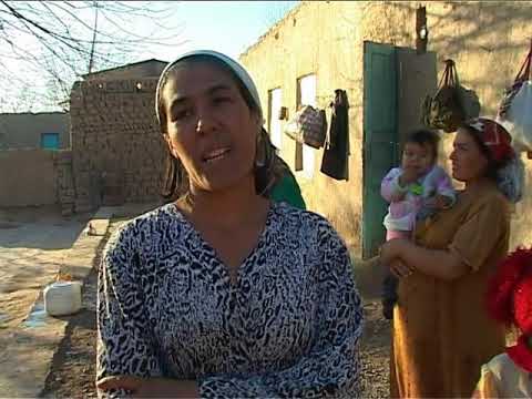 Видео: Жизнь циганы