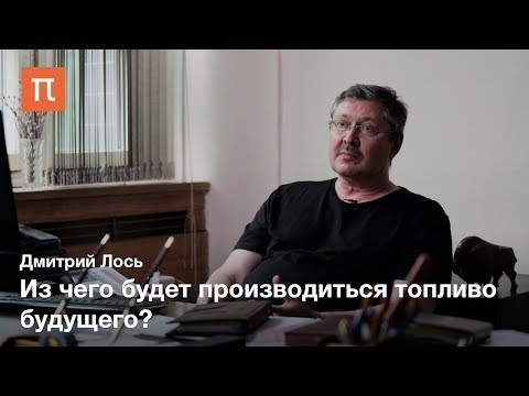 Видео: Биотопливо из цианобактерий — Дмитрий Лось