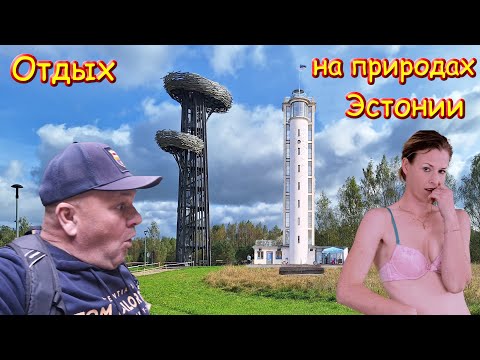 Видео: 483. Прогулка по Южной Эстонии, часть 19. Сегодня - на высоте. Глубины глубин эстонской природы.