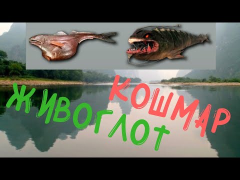 Видео: My Fishing World 2020 Ловля Мутанта Кошмар и Живоглот