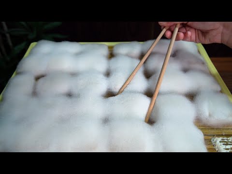 Видео: Вкусная еда с заплесневелыми длинными волосами: заплесневелый тофу