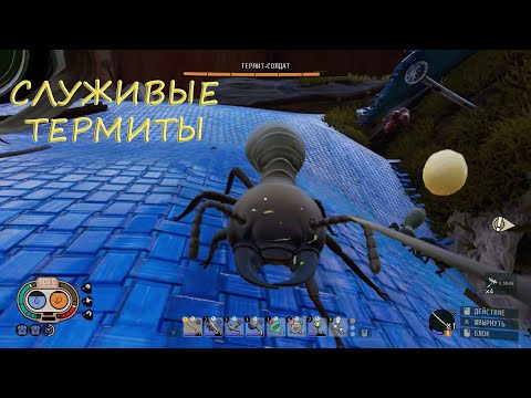Видео: Сумбурная серия - Grounded (часть15)