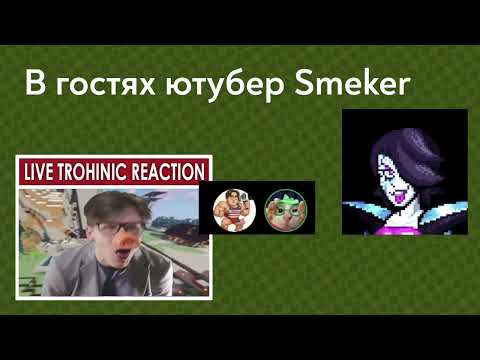 Видео: Обсуждаем дельтарун с ютубером Smeker