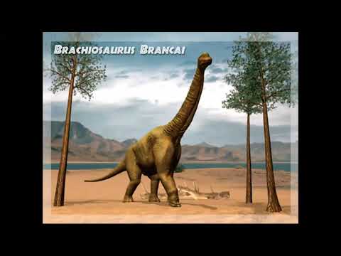 Видео: Когда жили динозавры