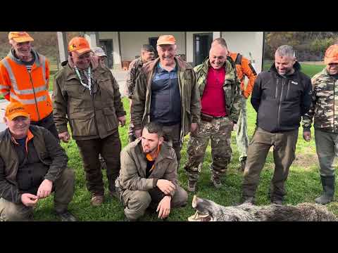 Видео: 8 ноември 2025 г.