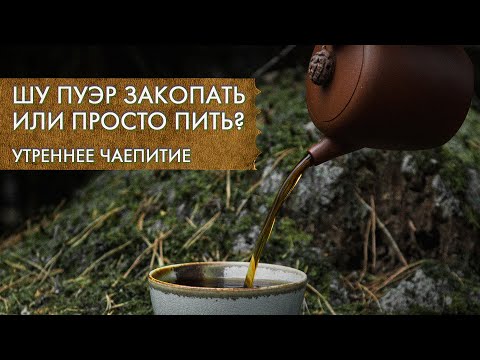 Видео: Фантастический Пуэр и Как Его Завараивать? | Стрим Art of Tea