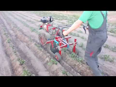 Видео: @Мотоблок підгортаю картоплю вдосконаленим адаптером дисковими підгортачами 01.06.22