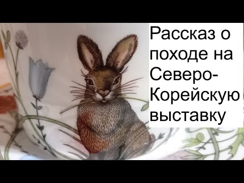 Видео: Рассказ о походе на Северо Корейскую выставку
