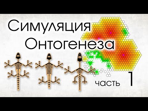 Видео: Симуляция Онтогенеза. Часть 1
